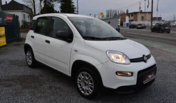 Fiat Panda 1.0i Hybrid  Sport 5 places complet